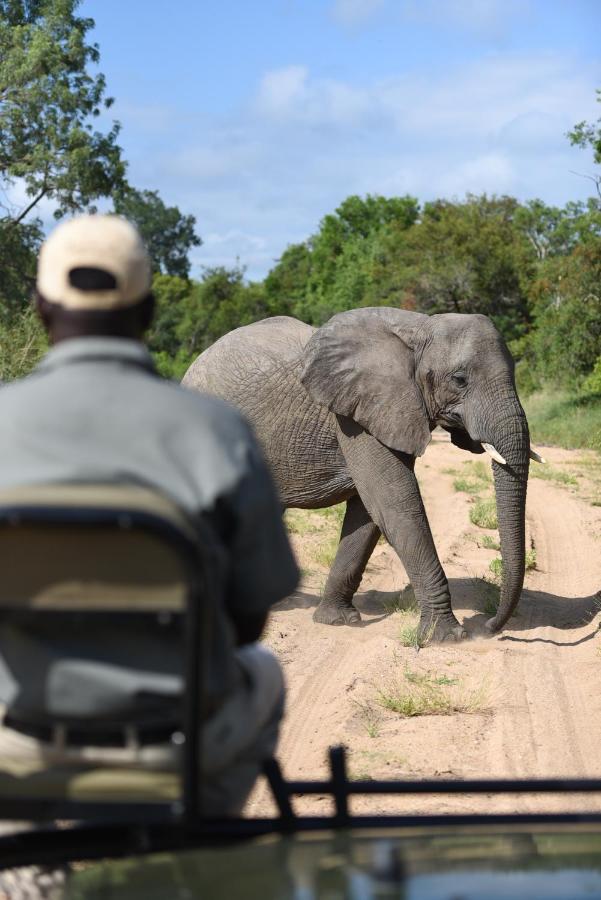 Shumbalala Game Lodge Thornybush Game Reserve Exterior foto